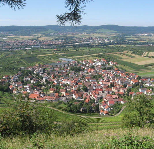 2008 07 kleinheppach 534x517